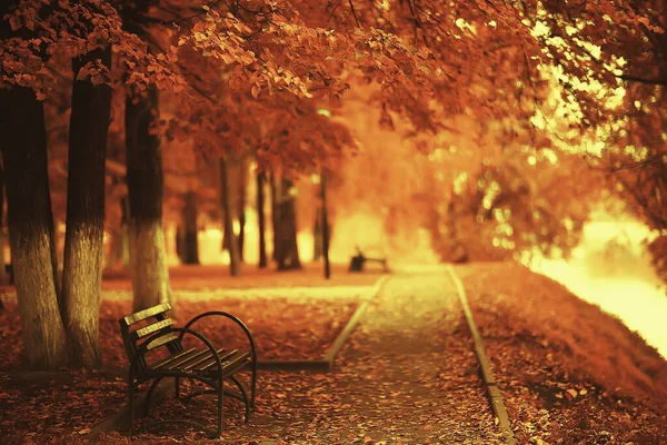 Солнечный Пейзаж Осенний Парк Осенний Сезон Фон Оранжевый Парк — стоковое фото