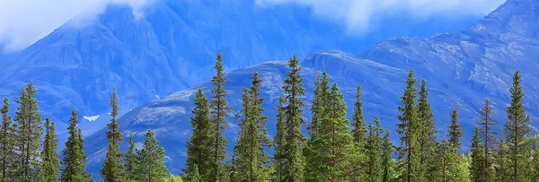 秋天森林群山全景 山水画 自然黄季 — 图库照片