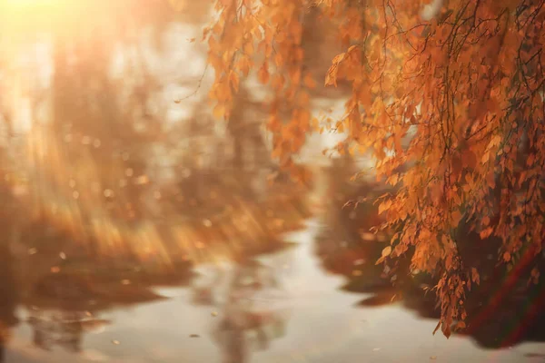 Abstrakt Höst Nedgång Bakgrund Löv Gul Natur Oktober Tapet Säsong — Stockfoto