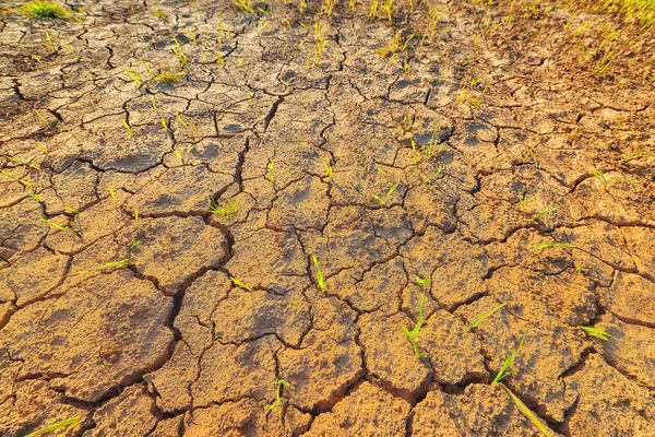 纹理沙漠干旱背景抽象地球裂解变暖全球 — 图库照片