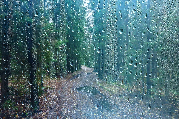 雨の窓からの眺めガラスの森や山の風景の背景に水滴 — ストック写真