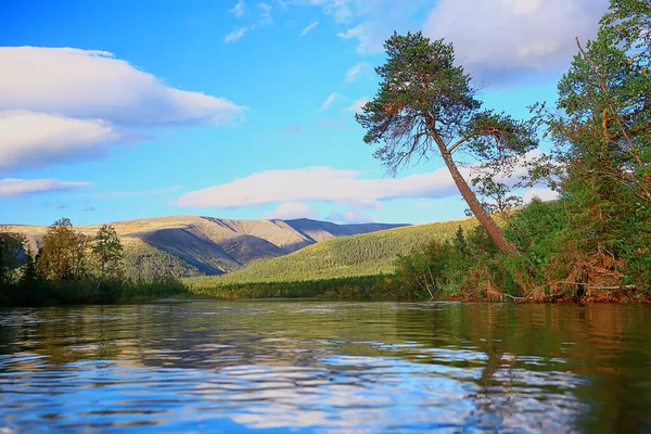 Forest Mountains Landscape Beautiful Green Nature Summer Background Forest — Stock Photo, Image