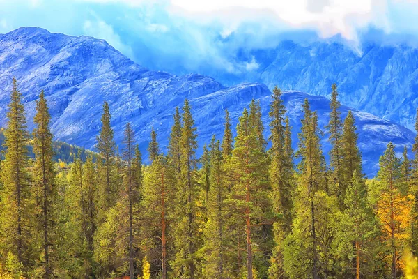 Φθινοπωρινά Δάση Βουνά Πανόραμα Δέντρα Τοπίου Φύση Κίτρινη Εποχή — Φωτογραφία Αρχείου