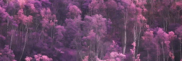 Rózsaszín Természet Táj Tavasz Háttér Virágok Park Szabadban — Stock Fotó