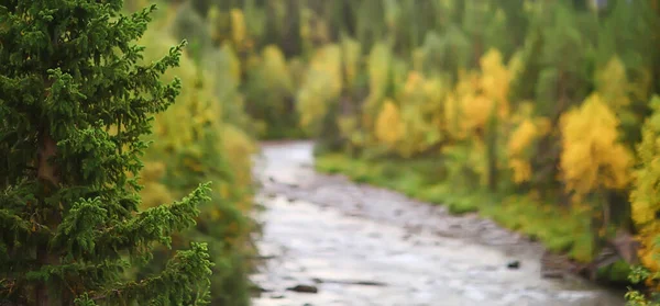 Outono Taiga Floresta Paisagem Natureza Vista Queda Nas Montanhas — Fotografia de Stock