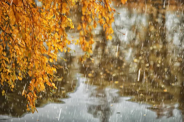 抽象的な背景秋 ガラス滴秋の黄色の葉雨10月の天気 — ストック写真