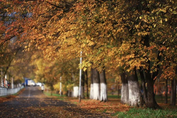 Sunny Landscape Fall Park Autumn Season Background Orange Park — Stock Photo, Image