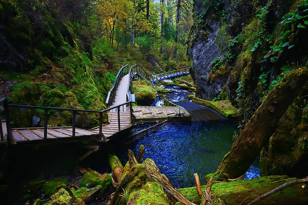 Cachoeira Paisagem Natureza Gotas Água Montanhas Fluxo Fundo Altai — Fotografia de Stock