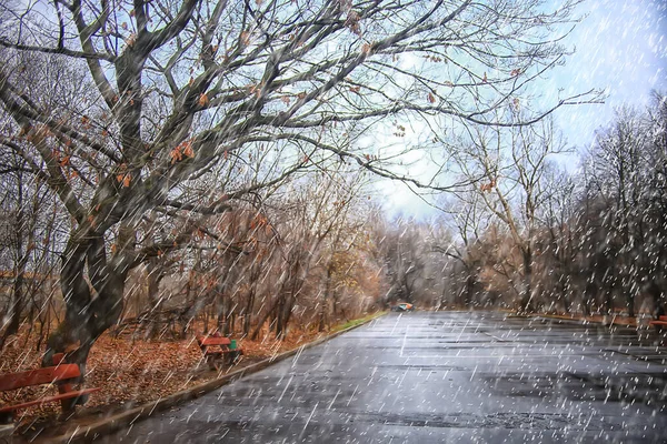 Lluvia Fondo Otoño Paisaje Parque Abstracto Estacional Nadie Tiempo Octubre — Foto de Stock