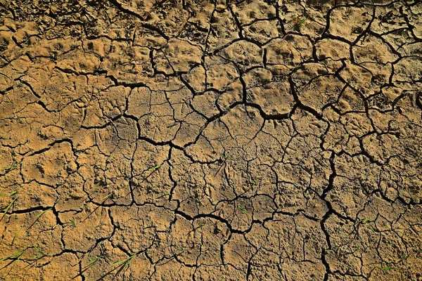 Texture Désert Sécheresse Fond Abstrait Terre Fissurée Réchauffement Planétaire — Photo