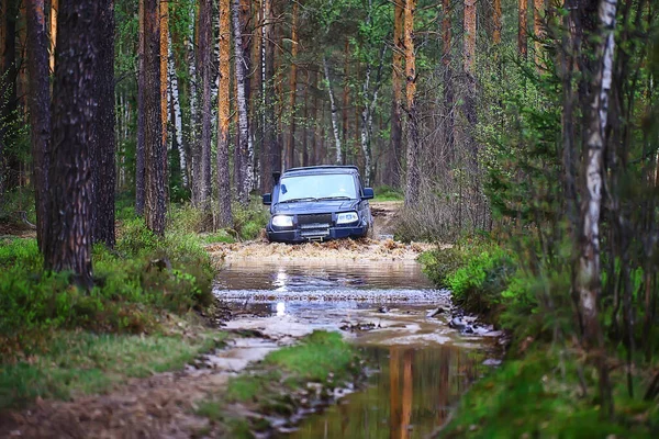 Suv Forêt Gué Travers Rivière Tourisme Routier Extrême Sur — Photo