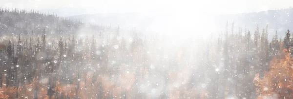 Höst Taiga Skog Landskap Natur Utsikt Faller Bergen — Stockfoto