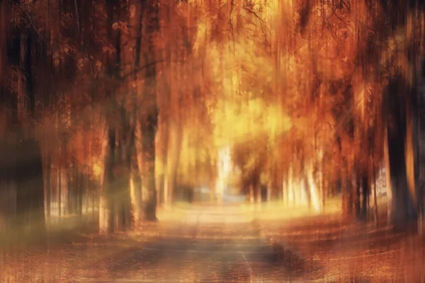 背景のぼやけた秋の自然風景抽象的なぼやけた木の景色 — ストック写真