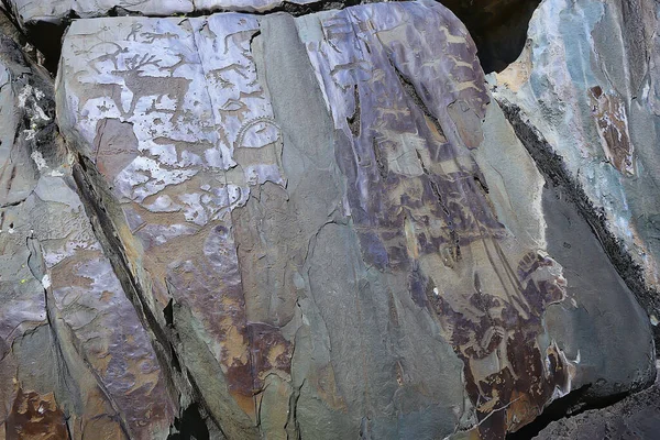 Petroglifos Arte Prehistórico Sobre Piedra Edad Piedra Montaña Altai Russia — Foto de Stock