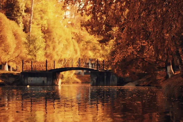 Autumn Landscape Pond City Central Park Beautiful Autumn Landscape View — Stock Photo, Image