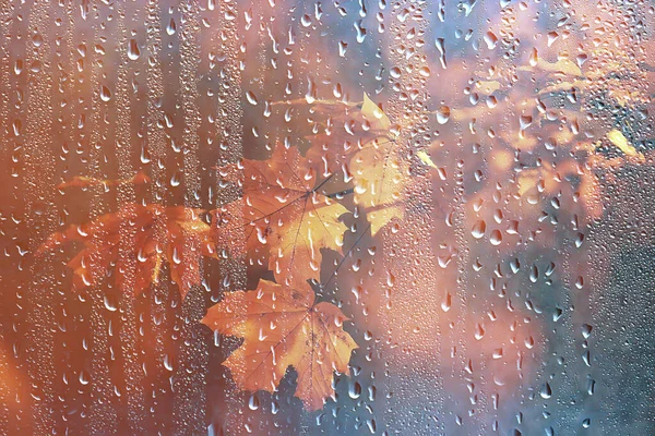 秋天的风景公园 抽象的季节没有人天气十月的风景 — 图库照片