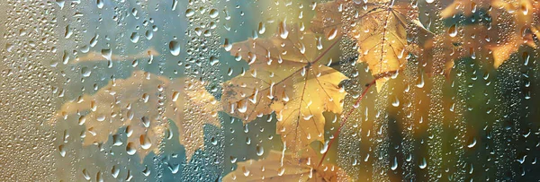 Abstrakcyjne Tło Upadek Krople Szkła Jesień Żółte Liście Mokre Październik — Zdjęcie stockowe