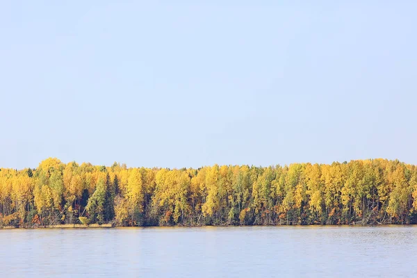 Outono Paisagem Florestal Fundo Abstrato Outubro Vista Árvores Amarelas Queda — Fotografia de Stock