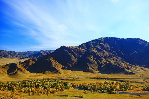 Altai Górski Krajobraz Panorama Jesienny Krajobraz Tło Widok Jesień — Zdjęcie stockowe