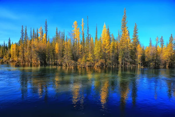 Мальовничі Осінні Пейзажі Лісові Річки Озеро Вид Природу Падаючий Фон — стокове фото