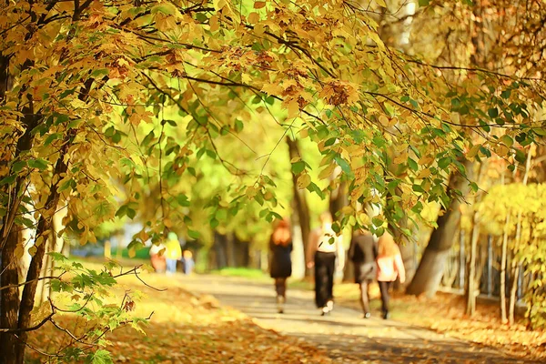 Ulička Podzimním Parku Krajina Podzim Žlutá Silnice Sezónní Krajina Říjnu — Stock fotografie