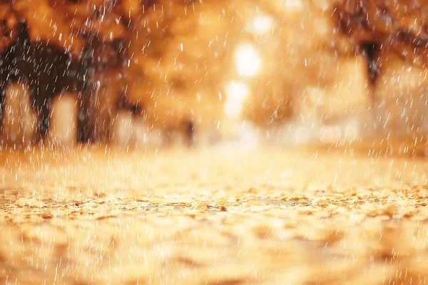 抽象的な秋の背景雨は公園を残し — ストック写真