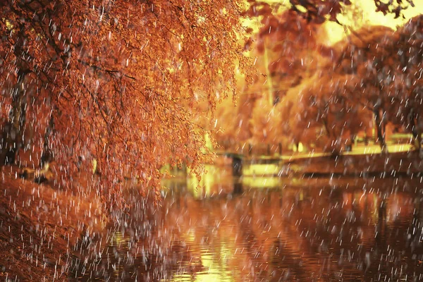 Rain Background Autumn Landscape Park Abstract Seasonal Nobody Weather October — Stock Photo, Image