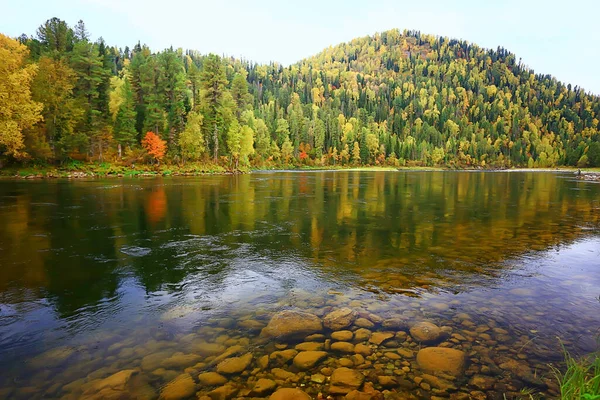 Bosque Las Montañas Paisaje Hermoso Verde Naturaleza Verano Fondo Bosque — Foto de Stock