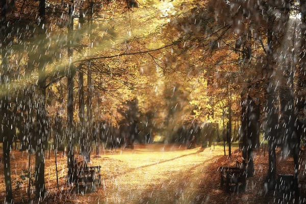 Chuva Outono Paisagem Vista Parque Banco Chuva Gotas Conceito Triste — Fotografia de Stock