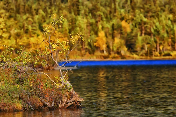 Herfst Taiga Bos Landschap Natuur Uitzicht Vallen Bergen — Stockfoto