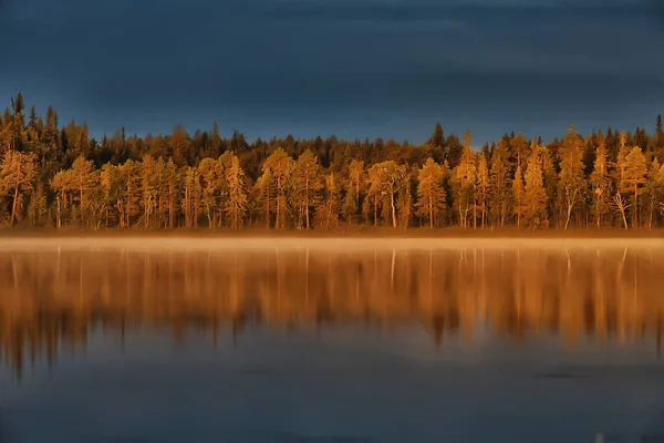 Abstrakte Hintergrund Textur Des Herbstwaldes Gelbe Bäume Muster Landschaft Ansicht — Stockfoto