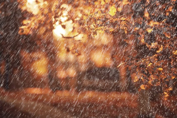 雨の背景秋の風景公園抽象的な季節の誰も天気10月の風景 — ストック写真