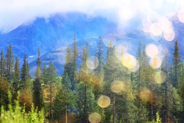 Altai Horská Krajina Panorama Podzim Krajina Pozadí Podzim Příroda Pohled — Stock fotografie