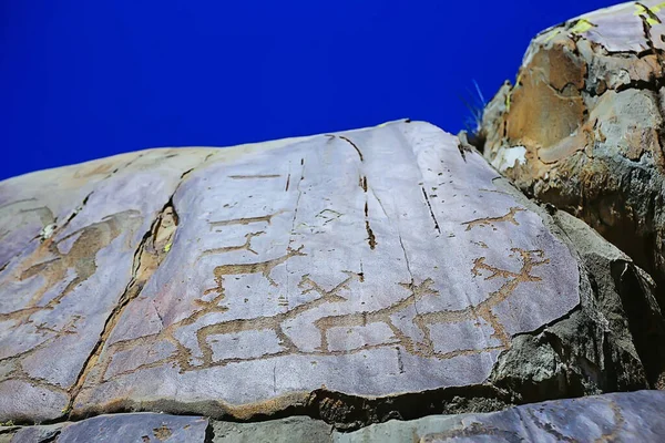 Petroglyfer Förhistorisk Konst Sten Stenålder Berg Altai Ryssland — Stockfoto