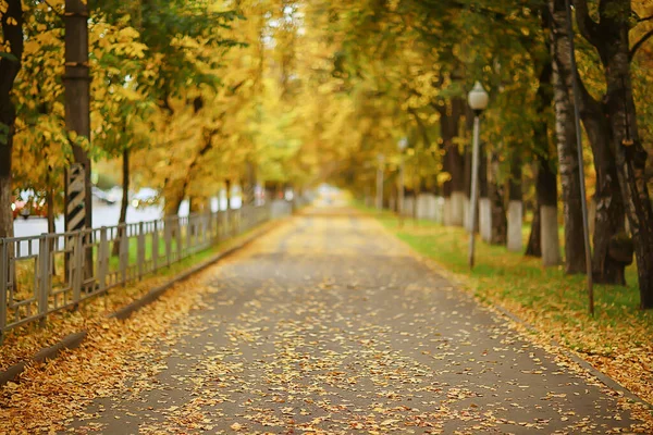 秋の公園風景の路地10月の黄色い道の季節の風景 — ストック写真