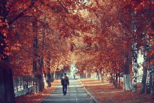 秋の公園風景の路地10月の黄色い道の季節の風景 — ストック写真