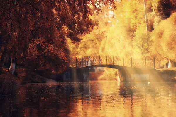 Zonnig Landschap Herfstpark Achtergrond Herfstseizoen Oranje Park — Stockfoto