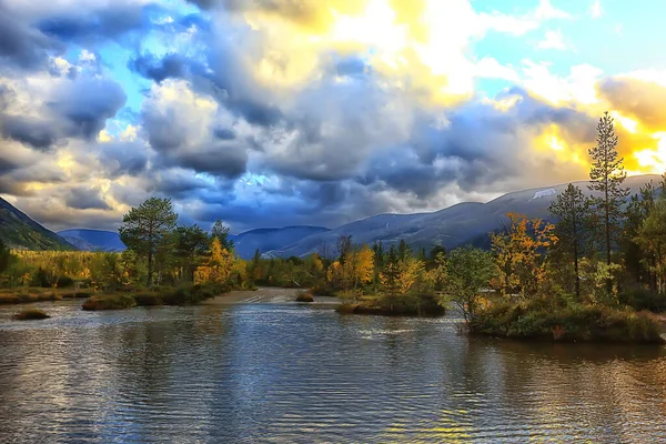 Automne Forêt Montagnes Panorama Arbres Paysagers Nature Saison Jaune — Photo