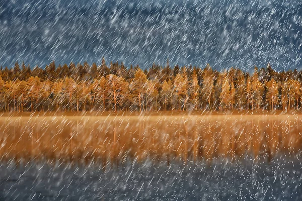 Осенний Пейзаж Природный Дождь Падает Погода Влажный Вид Море — стоковое фото