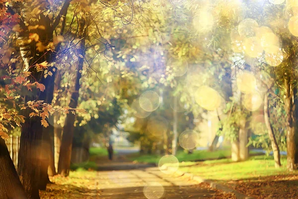 Zonnig Landschap Herfstpark Achtergrond Herfstseizoen Oranje Park — Stockfoto