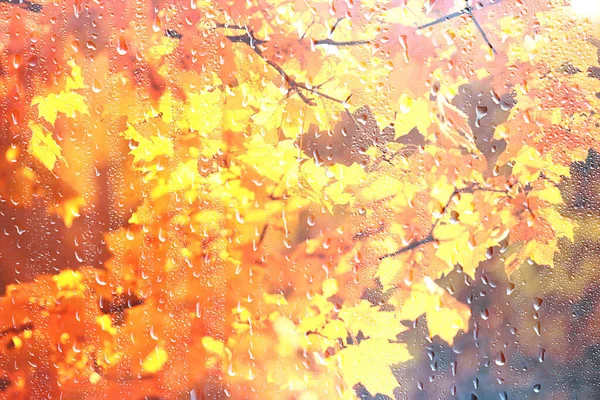 Abstrakcyjne Tło Upadek Krople Szkła Jesień Żółte Liście Mokre Październik — Zdjęcie stockowe