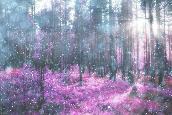 秋の風景自然雨が降る天気雨が降る屋外の風景秋の天気 — ストック写真