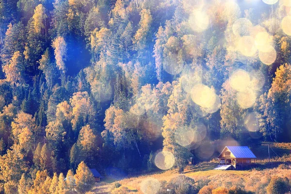 Абстрактный Пейзаж Фоне Осеннего Солнца Блики Defocus Боке Просматривать Солнечный — стоковое фото