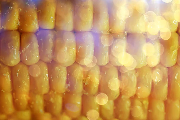Горячая Вареная Кукуруза Початок Свежий Овощной Диеты Фон — стоковое фото