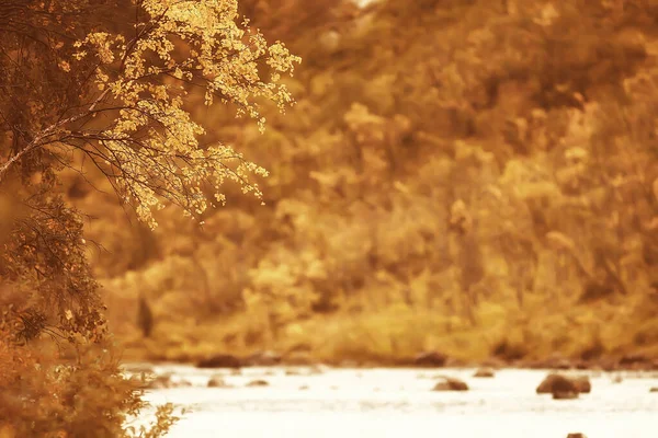 Paysage Pittoresque Automne Arbres Forêt Rivière Lac Vue Sur Nature — Photo