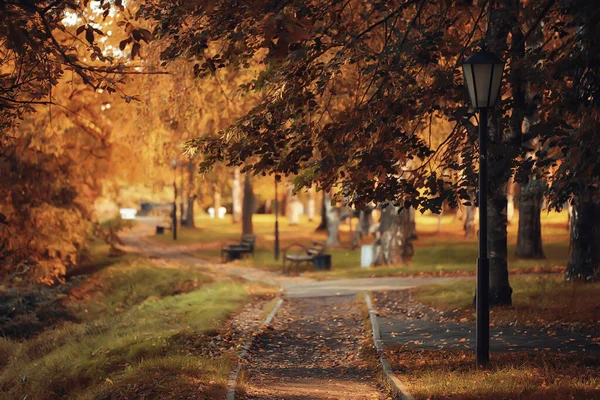 Slunečná Krajina Podzimním Parku Podzimní Sezóna Pozadí Oranžový Park — Stock fotografie