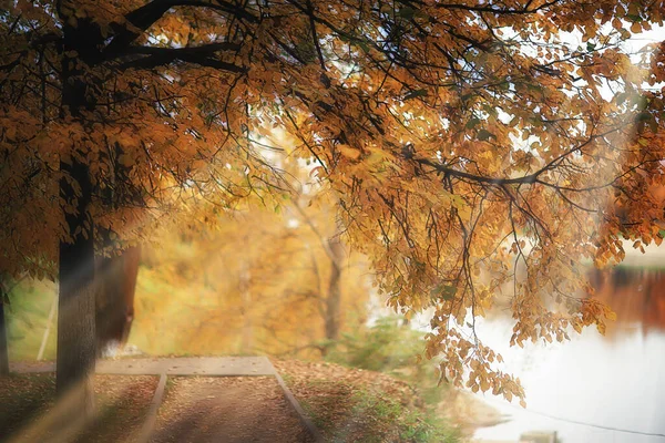 Scenic Autumn Landscape Trees Forest River Lake Nature View Fall — Stock Photo, Image