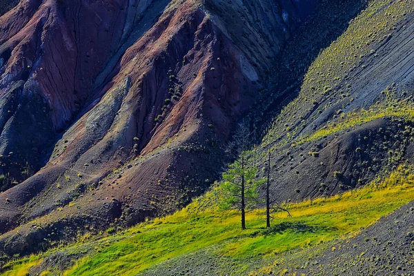 Veelkleurige Bergen Geologische Textuur Achtergrond Veelkleurige Afzettingen Van Mineralen Landschap — Stockfoto