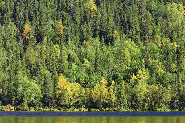 Herfst Taiga Bos Landschap Natuur Uitzicht Vallen Bergen — Stockfoto