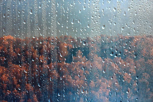 Chuva Janela Vista Gotas Água Vista Vidro Floresta Montanhas Paisagem — Fotografia de Stock